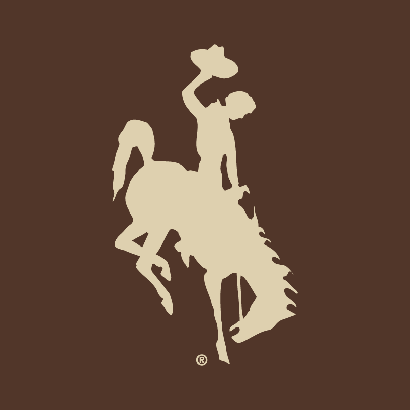 Wyoming Cowboys 2006-2012 Alternate Logo v2 iron on transfers for fabric